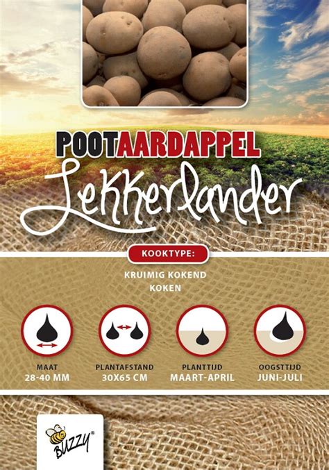 Pootaardappel Lekkerlander 1 Kg .